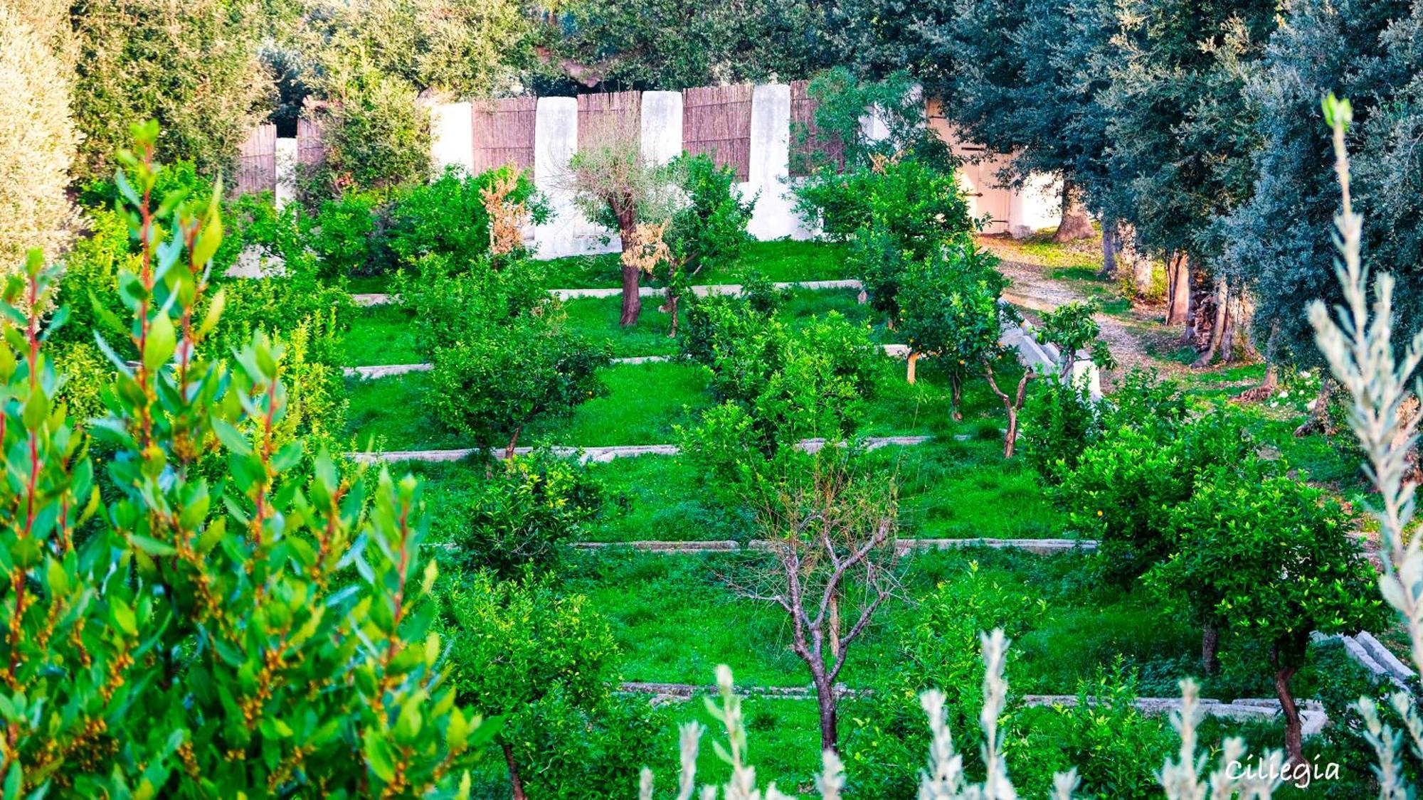 Bed and Breakfast I Frangiventi Роди-Гарганико Экстерьер фото