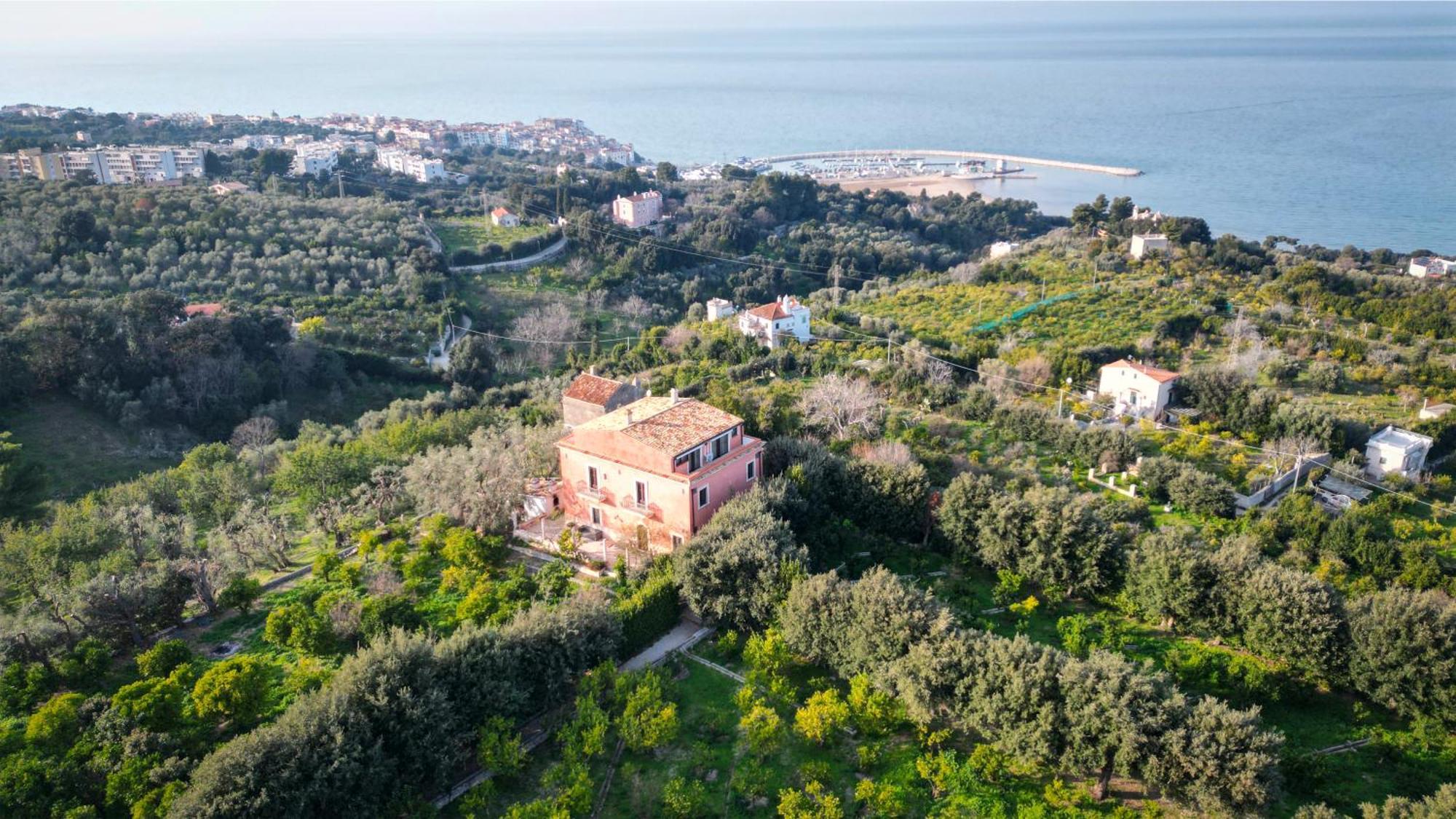 Bed and Breakfast I Frangiventi Роди-Гарганико Экстерьер фото